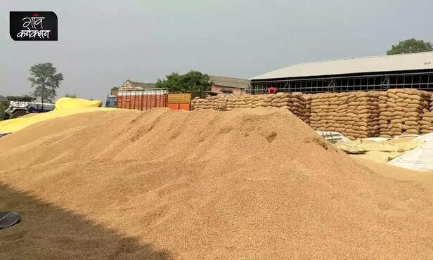 359420-wheat-production-exports-pm-garib-kalyan-anna-yojana-ukraine-russia-war-public-distribution-system-rice-right-to-food-punjab-utt