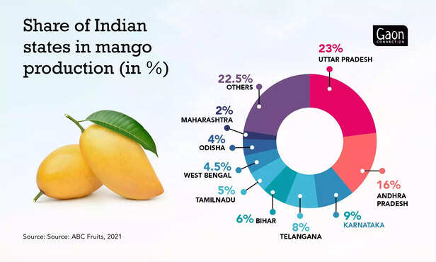 359385-mango-production-pai