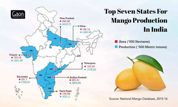 359386-mango-production