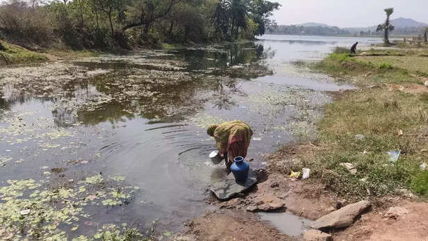 358113-84ad973d-786f-4872-9576-85562269c305