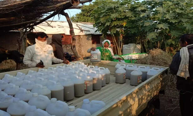 358937-screenshot-2022-04-12-at-34119-pm