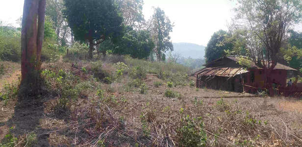 366315-four-childrens-home-at-kalaita-village-in-saranda-forest-of-west-singhbhum-in-jharkhand-scaled-1