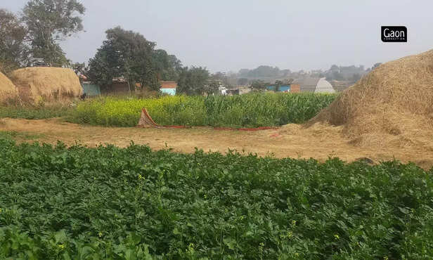 364366-untitled-design-2023-03-31t150816599