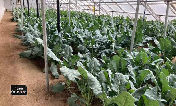 362771-untitled-design-4