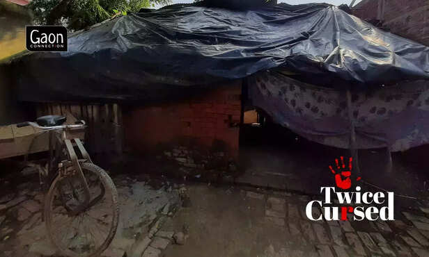 361966-hero-image-15