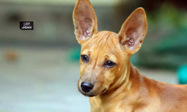 367614-hero-image-new-41