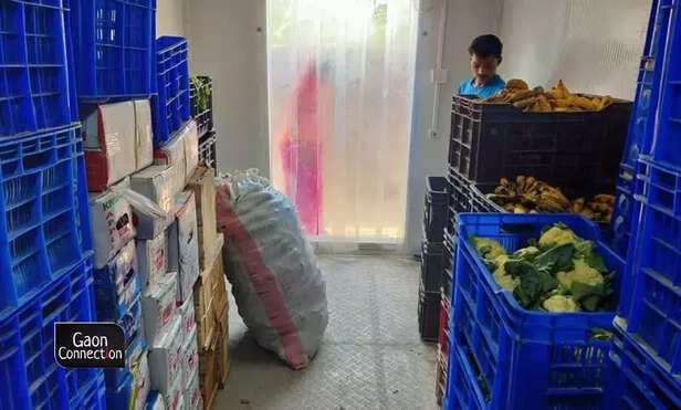 362419-cold-storage-fruits