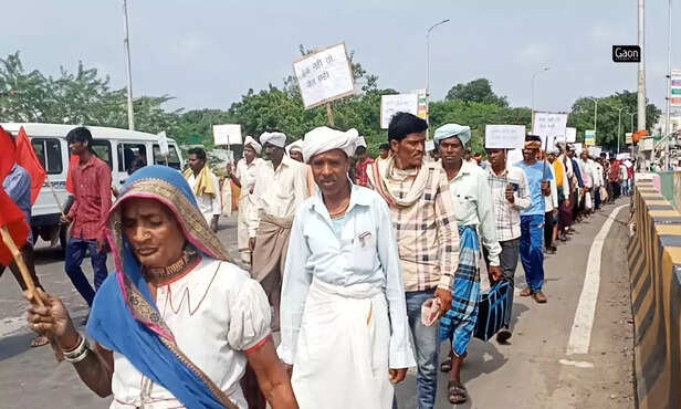 367747-untitled-design-1