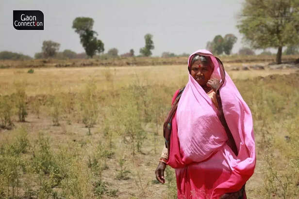 358525-whatsapp-image-2021-12-21-at-121457-am