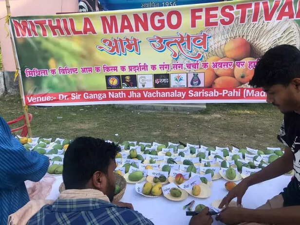 365944-whatsapp-image-2023-06-13-at-125450-pm