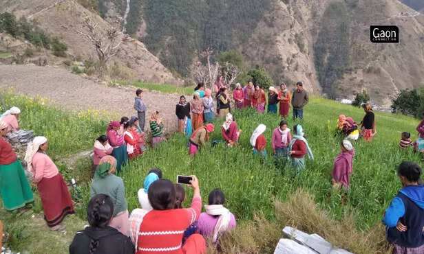 363044-untitled-design-20