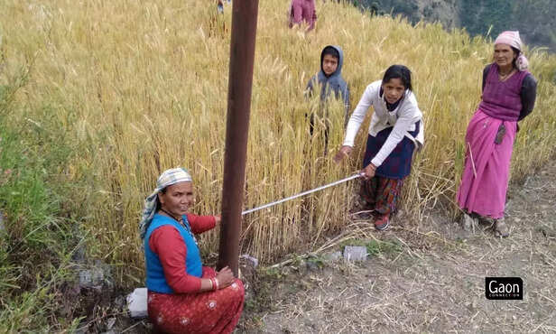 363045-untitled-design-19