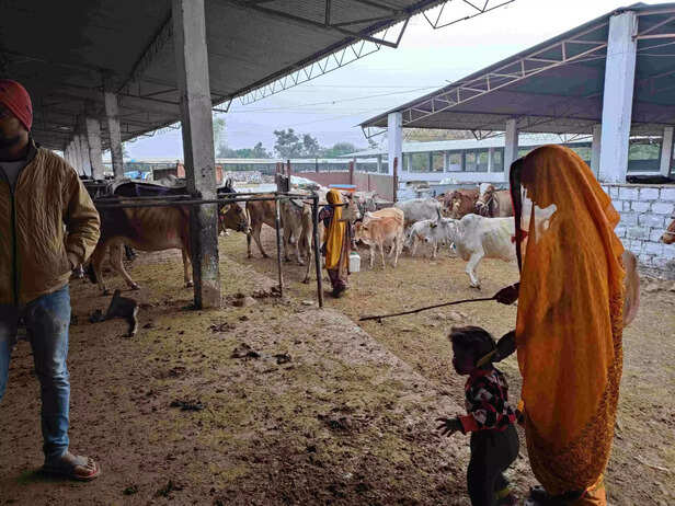 364264-animal-shelter-near-barkhedi-village-bhopal-dist-dec-2022-scaled-1