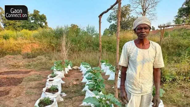 362672-farmers-baiga