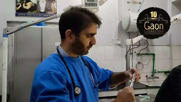 362534-animal-doctor