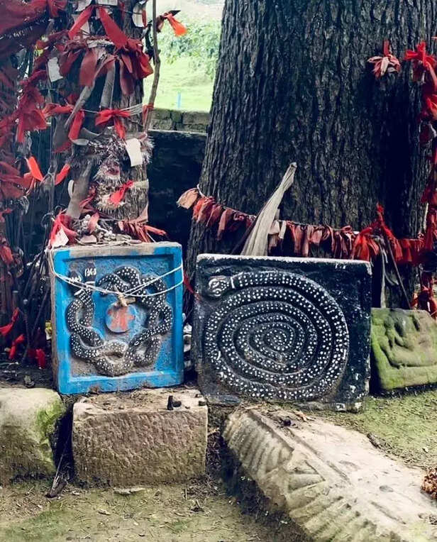 361250-fbizesmvuaaq6bh