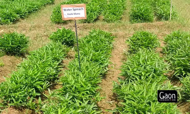 361117-untitled-design-3