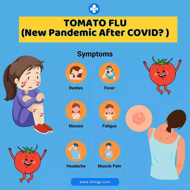 361229-whatsapp-image-2022-08-29-at-52416-pm