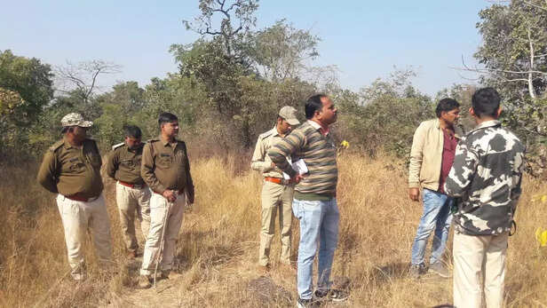 362585-forest-officials