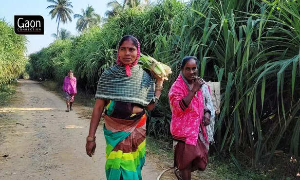 358351-whatsapp-image-2022-03-14-at-20023-pm