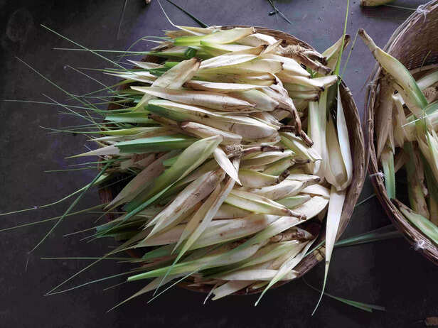 358340-20220228104842-scaled-1