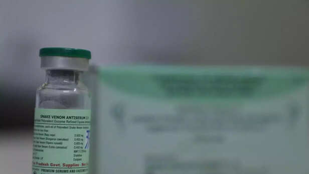 360888-360809-screenshot-451