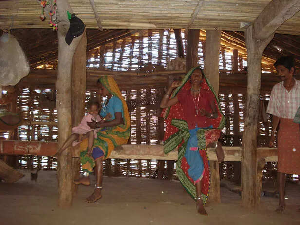 358804-trees-around-ssp-narmada-10