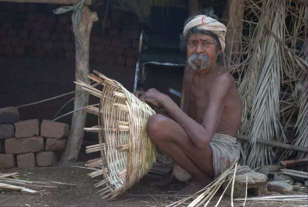 358805-trees-around-ssp-narmada-8