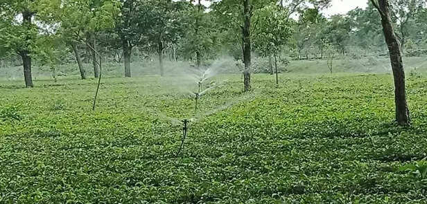 358644-whatsapp-image-2022-03-30-at-34849-pm