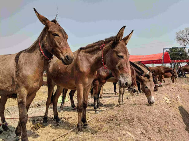 341387-341297-img20191011125548-scaled-1