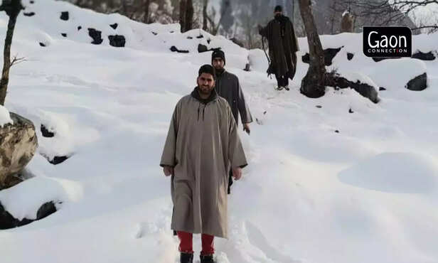 363247-untitled-design-58