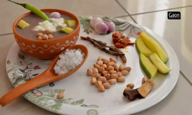 363803-untitled-design-2023-02-28t133051335