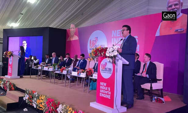 363564-untitled-design-58