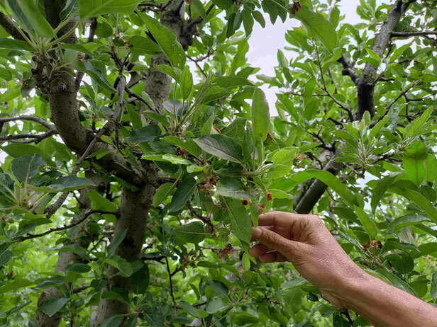 360652-pic-02-scaled-1