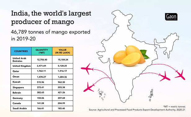 359379-mango-production-export-scaled-1