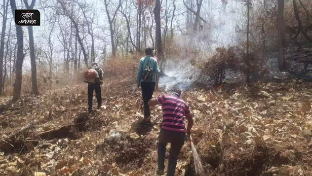 359019-melghat-tiger-reserve-angar-mukt-abhiyan-forest-fire-viral-video-shyama-prasad-mukherjee-jan-van-yojana-local-community-amravati-maharashtra-2