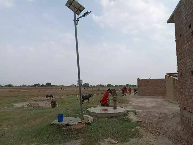 367269-photo2023-07-1721-05-33