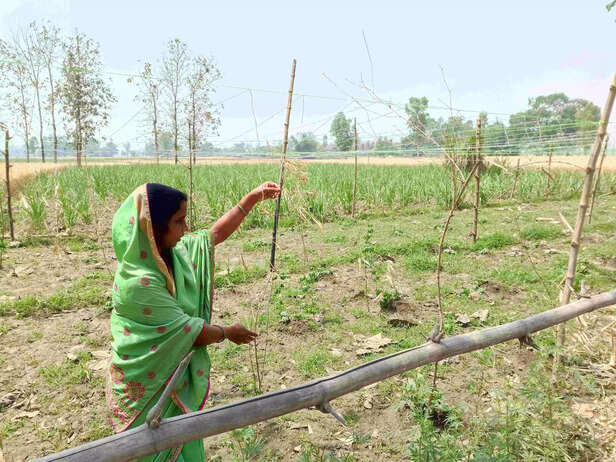 359007-img20220414110501-scaled-1