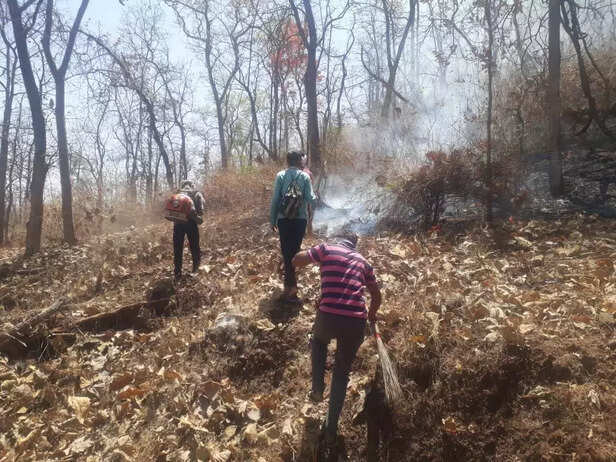 358974-whatsapp-image-2022-04-14-at-25346-pm-1