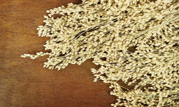 364643-untitled-design-2023-04-11t182117413