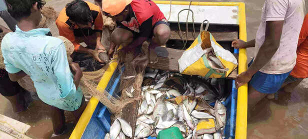 361085-fishermen-at-tondal-village-in-satara-district-of-maharastra-scaled-1