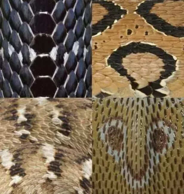 361070-big4page1eda3c6