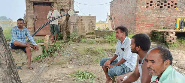 361513-photo6113913829239927271y