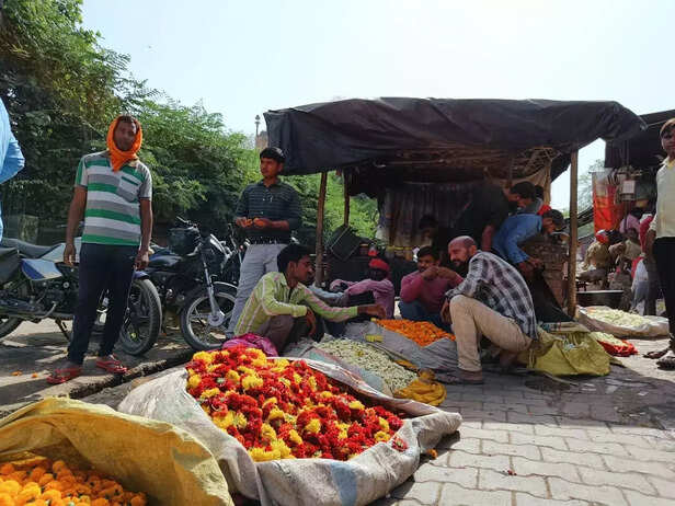 359180-whatsapp-image-2022-04-26-at-35312-pm-2