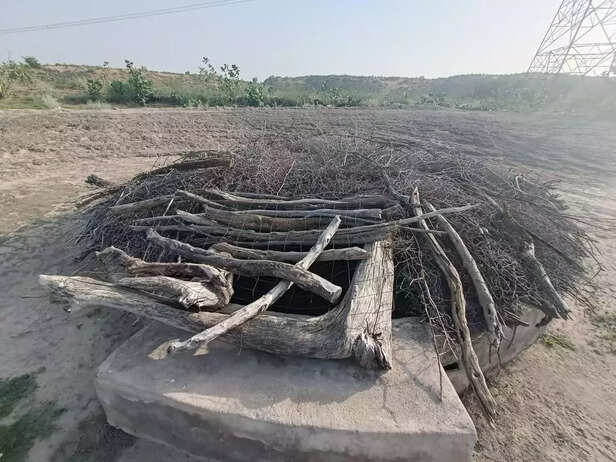 366354-whatsapp-image-2023-07-05-at-23931-pm