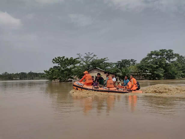 359958-ftdohcgacaauutc