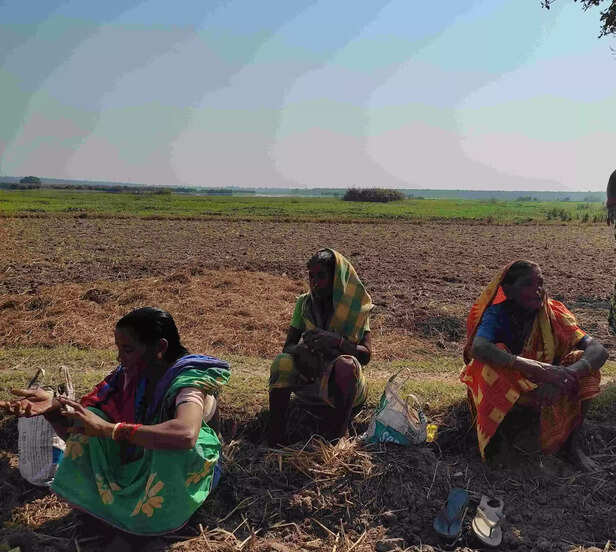 358343-img20220209072455-1-scaled-1