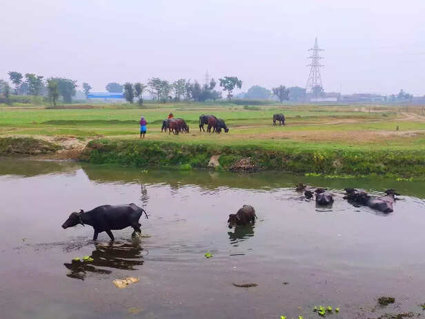 366236-59c445bd-1b39-447e-abd6-1a0095a92eeb