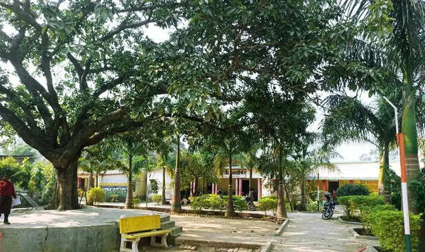 363865-environment-2