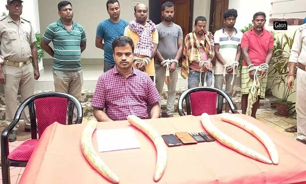 368259-untitled-design-16